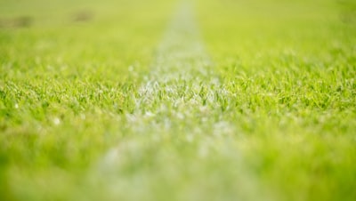 الأهلي المصري ضد الهلال السعوديمواجهة عربية ساخنة في كرة القدم